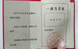 准生证和出生证有什么区别图片