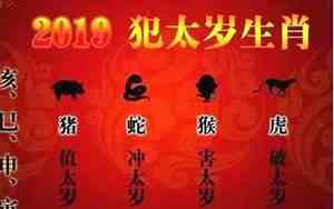 1969年2021年运势详解